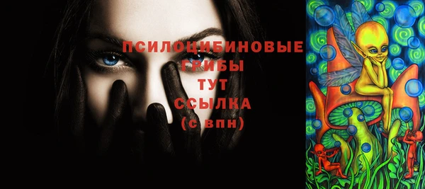 spice Михайловск