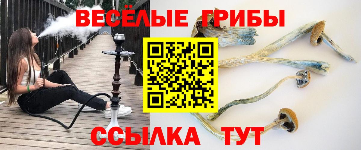 Псилоцибиновые грибы мицелий  Вход с VPN  Псилоцибиновые грибы Cubensis  Морозовск 