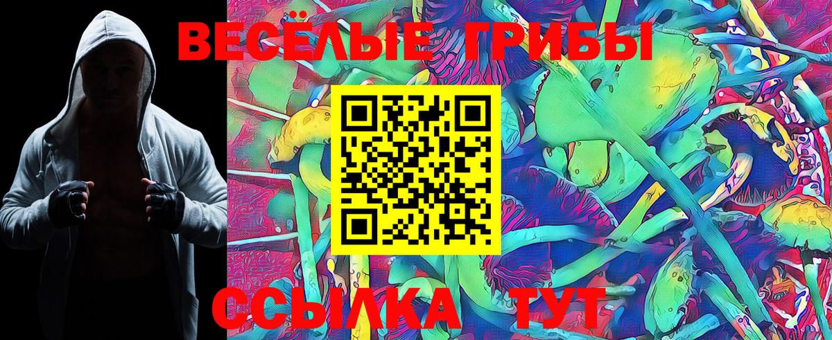 Галлюциногенные грибы ЛСД Морозовск