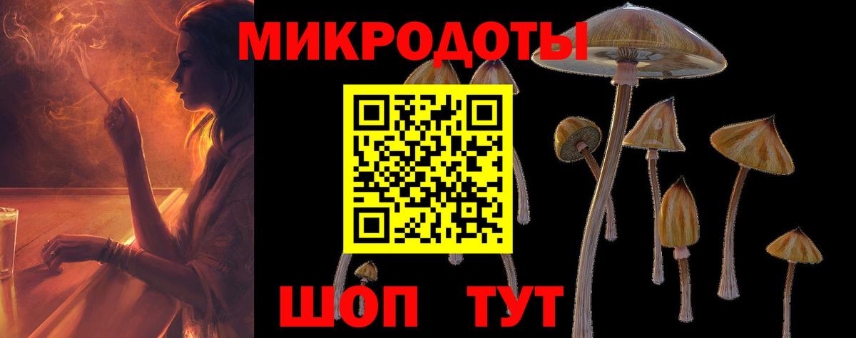 как найти закладки  Псилоцибиновые грибы мухоморы  Морозовск  Псилоцибиновые грибы Cubensis 